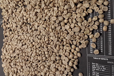 ���� �԰�