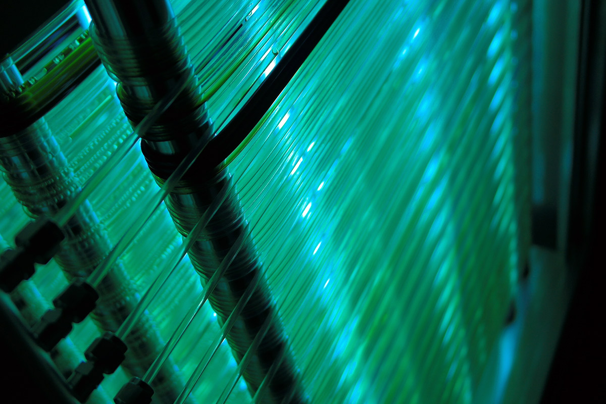 ���� ���