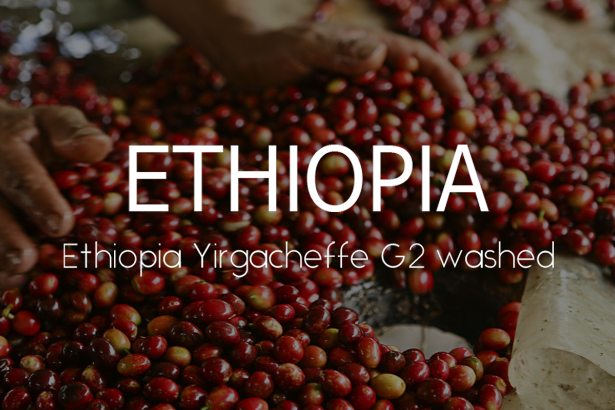 ��Ƽ���Ǿ� ����ü��